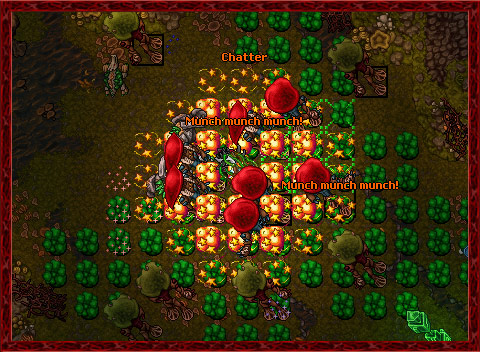 Fiehonja – Tibia Wiki